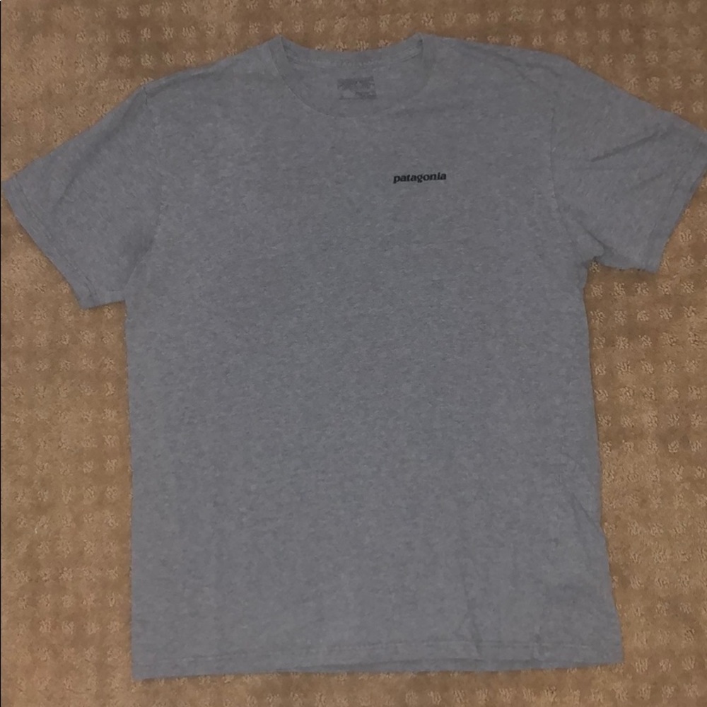 Patagonia T Shirt